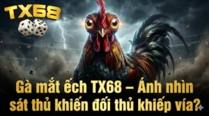 Gà mắt ếch TX68 – Ánh nhìn sát thủ khiến đối thủ khiếp vía