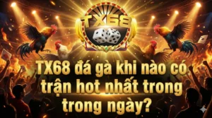 TX68 đá gà khi nào có trận hot nhất trong ngày?