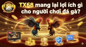 TX68 mang lại lợi ích gì cho người chơi đá gà?