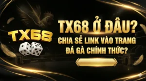 TX68 ở đâu? Chia sẻ link vào trang đá gà chính thức