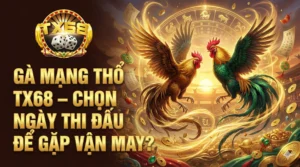 Gà mạng Thổ TX68 – Chọn ngày thi đấu để gặp vận may
