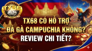 TX68 có hỗ trợ đá gà Campuchia không? Review chi tiết