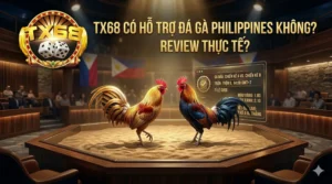 TX68 có hỗ trợ đá gà Philippines không? Review thực tế