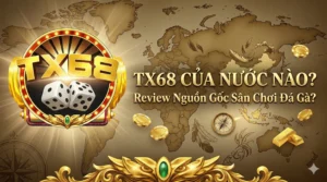 TX68 của nước nào? Review nguồn gốc sân chơi đá gà