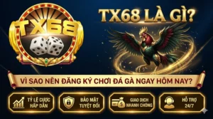 TX68 là gì? Vì sao nên đăng ký chơi đá gà ngay hôm nay?