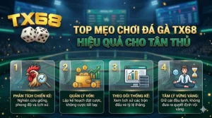 Top mẹo chơi đá gà TX68 hiệu quả cho tân thủ